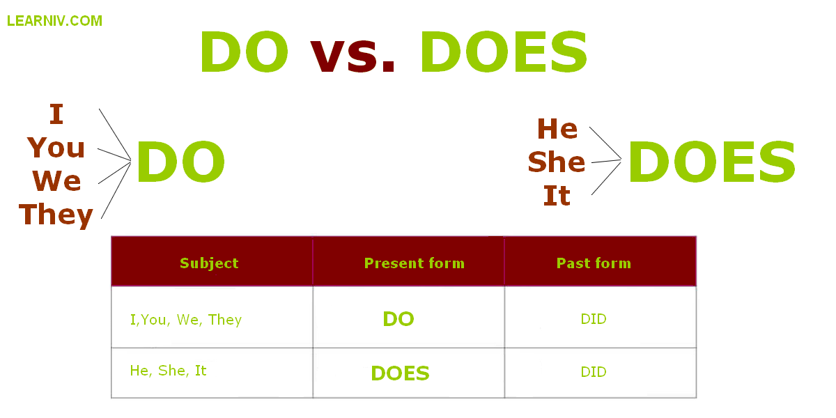 Difference Between DO And DOES