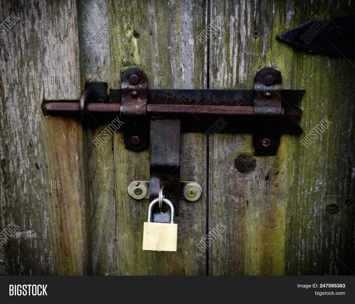 Heatherton Locked Door At Carol Freda Blog Heatherton Locked Door At Carol Freda Blog