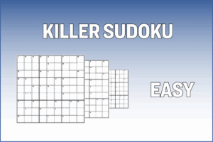 Epoch Times Sudoku Easy: The Perfect Puzzle for Beginners sudoku