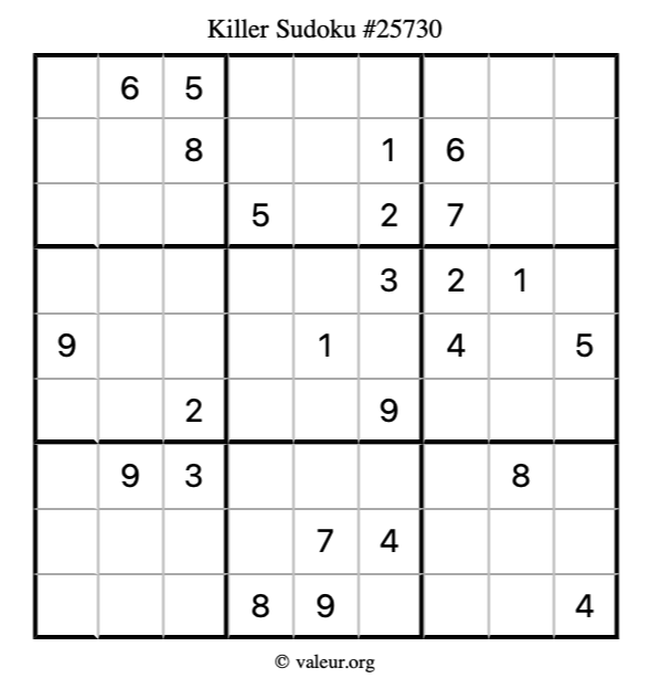Killer Sudoku Puzzle 25730