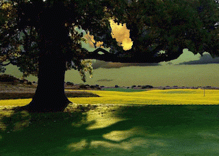 MI MUNDO MANUAL Y quot ARTISTICO quot MI 1 EN EL EJERCICIO 45 Se Llama