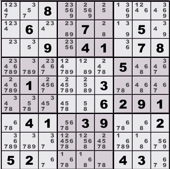 Sudoku Puzzle Solver Oppidan Library